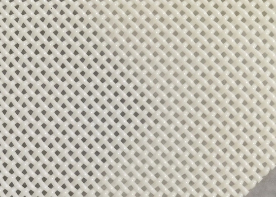 1x1mm Ukuran Lubang Polyester Mesh Belt Lubang Persegi Untuk Mengeringkan Makanan Ikan