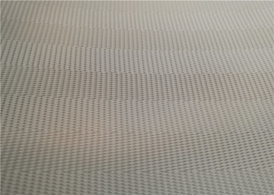 Pembuatan Kertas Press SGS Polyester Sludge Dewatering Belt
