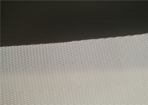 Sludge Dewatering Polyester Filter Belt Putih Biru Hitam Untuk Pembuatan Kertas Tekan